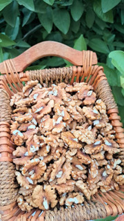 مغز گردو دو پر ( چینی ) درجه یک